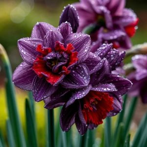 Нарцисс Минт Флер купить по цене от 2000р. в интернет-магазине «Посадика» с доставкой почтой в в Гулькевичие и по всей России – [изображение №1].